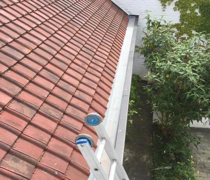 Entretien toiture échelle posée sur goutière